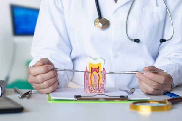 Best Orthodontic Emergency Dentist in Dupont, WA